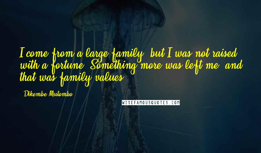 Dikembe Mutombo Quotes: I come from a large family, but I was not raised with a fortune. Something more was left me, and that was family values.