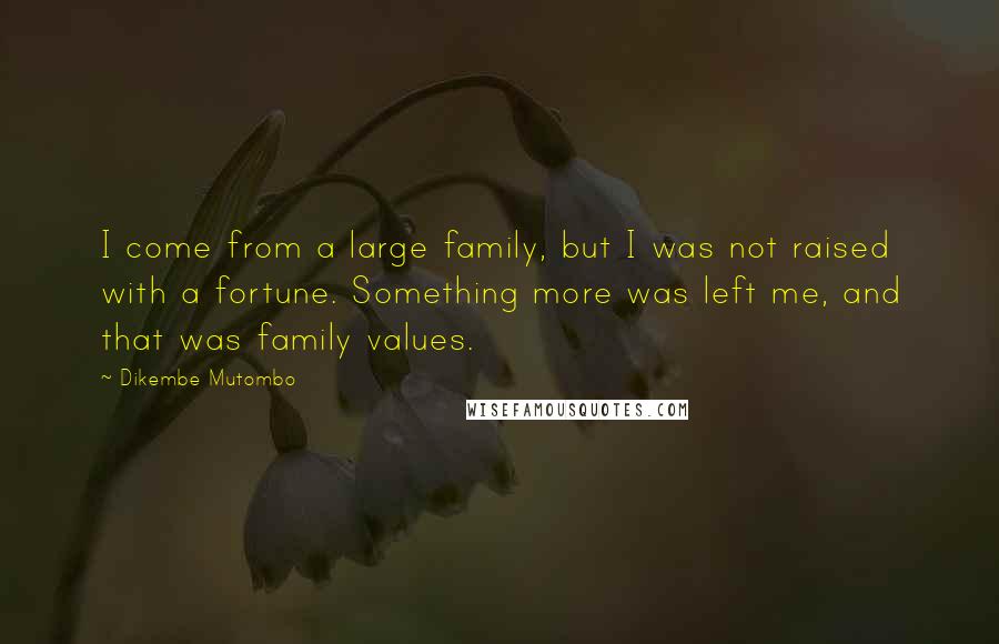 Dikembe Mutombo Quotes: I come from a large family, but I was not raised with a fortune. Something more was left me, and that was family values.