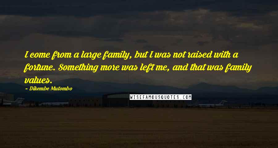 Dikembe Mutombo Quotes: I come from a large family, but I was not raised with a fortune. Something more was left me, and that was family values.