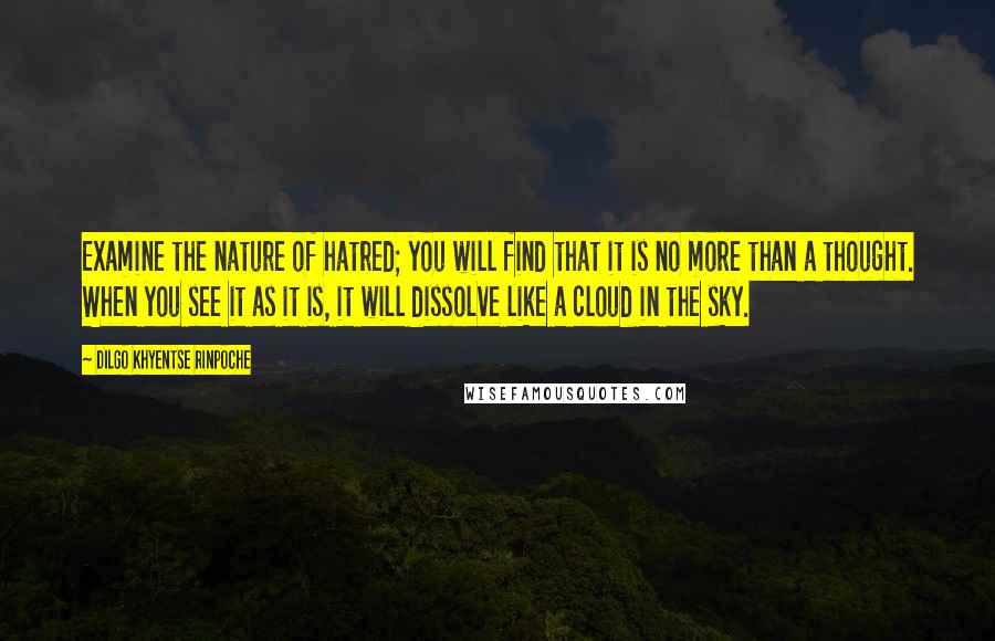 Dilgo Khyentse Rinpoche Quotes: Examine the nature of hatred; you will find that it is no more than a thought. When you see it as it is, it will dissolve like a cloud in the sky.