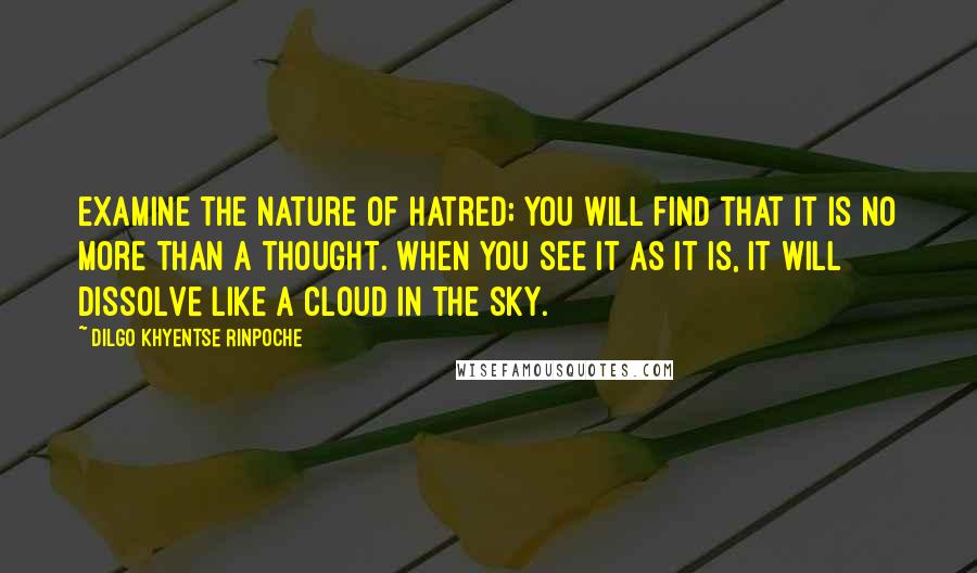 Dilgo Khyentse Rinpoche Quotes: Examine the nature of hatred; you will find that it is no more than a thought. When you see it as it is, it will dissolve like a cloud in the sky.