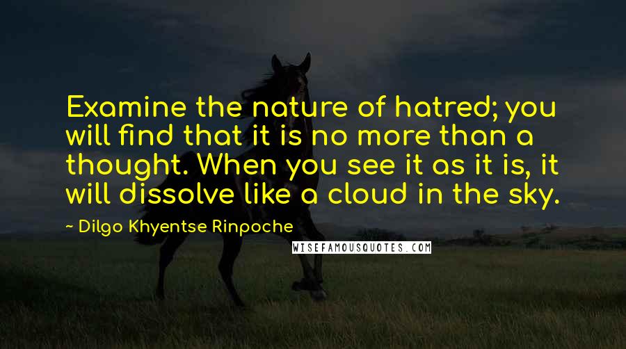 Dilgo Khyentse Rinpoche Quotes: Examine the nature of hatred; you will find that it is no more than a thought. When you see it as it is, it will dissolve like a cloud in the sky.