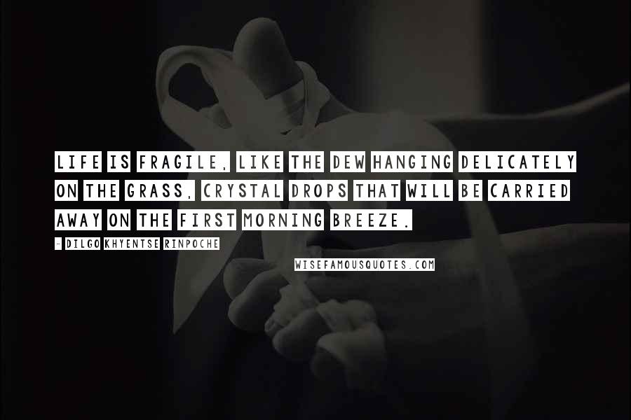 Dilgo Khyentse Rinpoche Quotes: Life is fragile, like the dew hanging delicately on the grass, crystal drops that will be carried away on the first morning breeze.