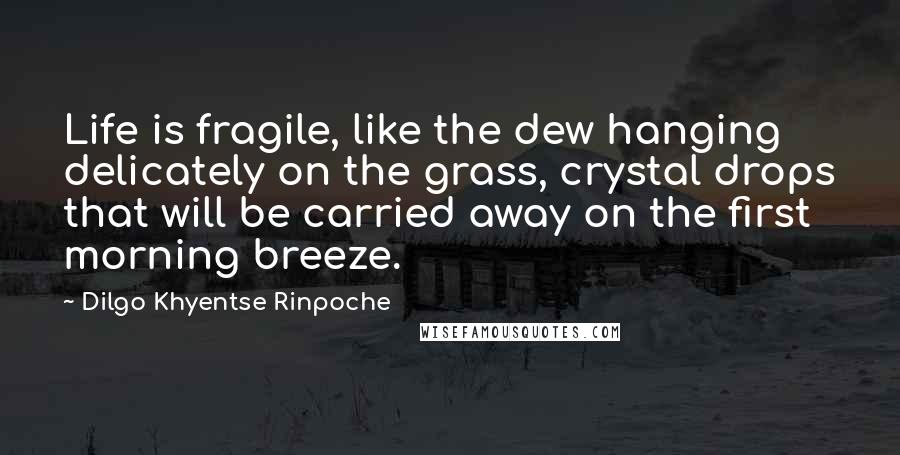 Dilgo Khyentse Rinpoche Quotes: Life is fragile, like the dew hanging delicately on the grass, crystal drops that will be carried away on the first morning breeze.