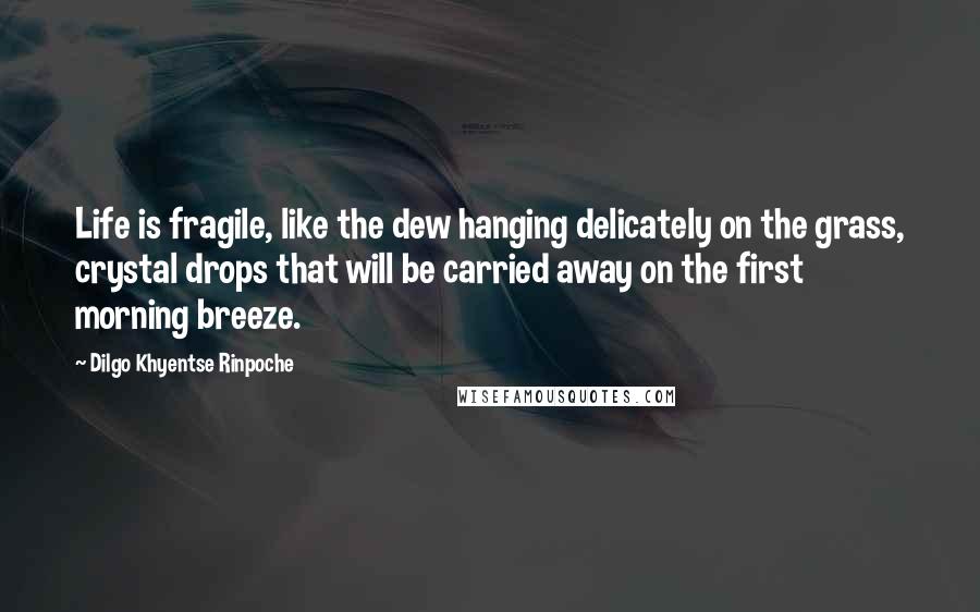 Dilgo Khyentse Rinpoche Quotes: Life is fragile, like the dew hanging delicately on the grass, crystal drops that will be carried away on the first morning breeze.