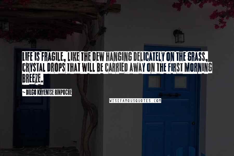 Dilgo Khyentse Rinpoche Quotes: Life is fragile, like the dew hanging delicately on the grass, crystal drops that will be carried away on the first morning breeze.