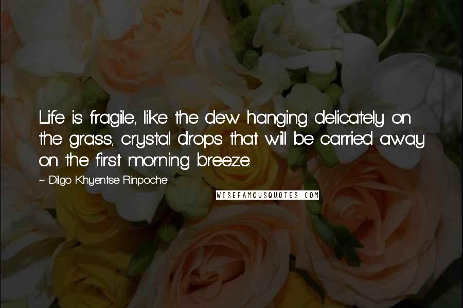 Dilgo Khyentse Rinpoche Quotes: Life is fragile, like the dew hanging delicately on the grass, crystal drops that will be carried away on the first morning breeze.