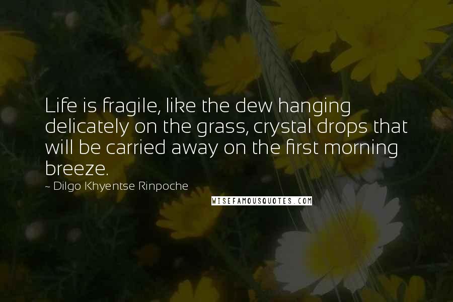 Dilgo Khyentse Rinpoche Quotes: Life is fragile, like the dew hanging delicately on the grass, crystal drops that will be carried away on the first morning breeze.