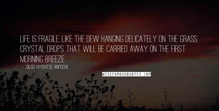 Dilgo Khyentse Rinpoche Quotes: Life is fragile, like the dew hanging delicately on the grass, crystal drops that will be carried away on the first morning breeze.