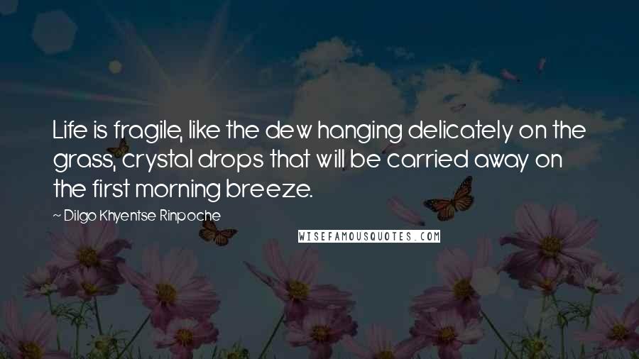 Dilgo Khyentse Rinpoche Quotes: Life is fragile, like the dew hanging delicately on the grass, crystal drops that will be carried away on the first morning breeze.