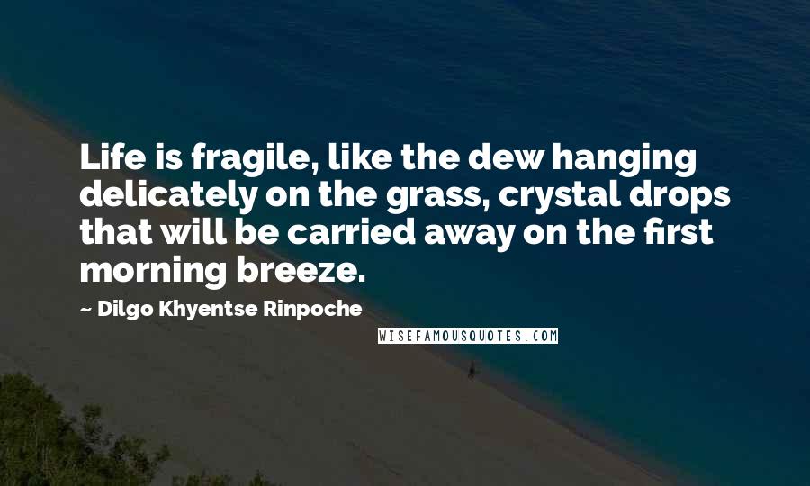 Dilgo Khyentse Rinpoche Quotes: Life is fragile, like the dew hanging delicately on the grass, crystal drops that will be carried away on the first morning breeze.