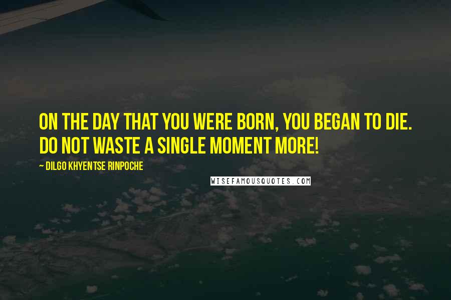 Dilgo Khyentse Rinpoche Quotes: On the day that you were born, you began to die. Do not waste a single moment more!