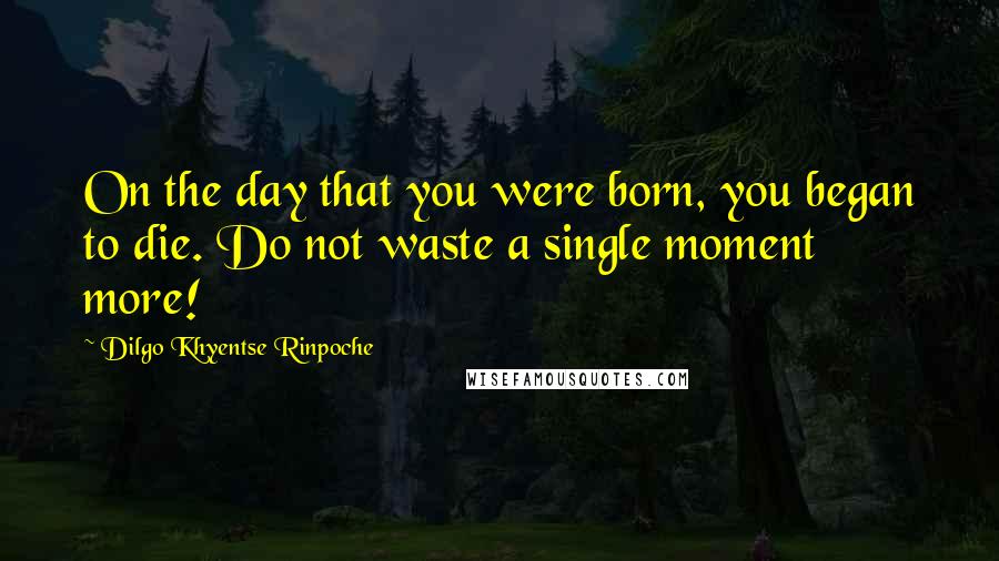 Dilgo Khyentse Rinpoche Quotes: On the day that you were born, you began to die. Do not waste a single moment more!