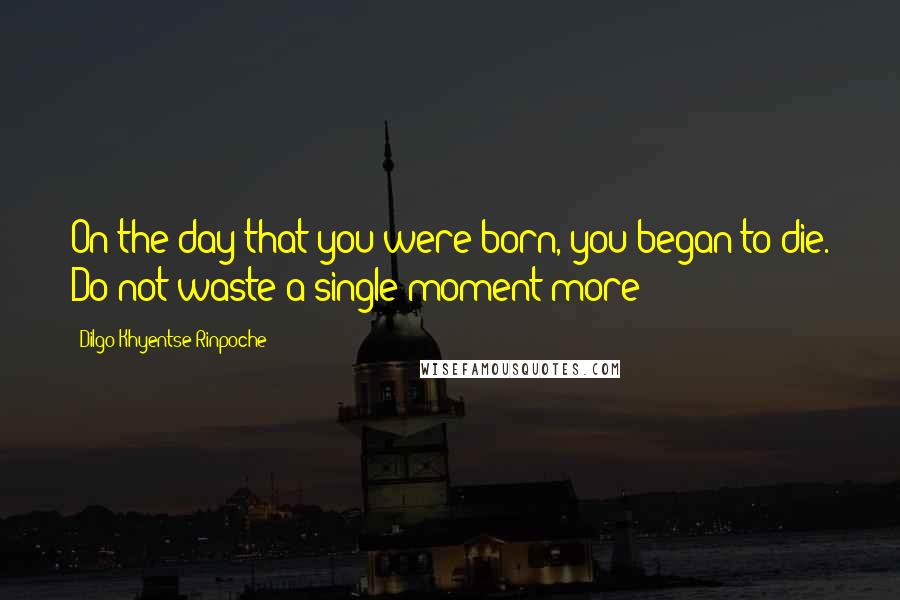 Dilgo Khyentse Rinpoche Quotes: On the day that you were born, you began to die. Do not waste a single moment more!