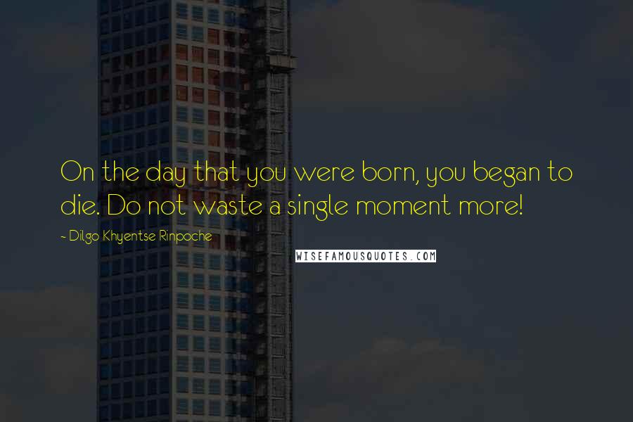 Dilgo Khyentse Rinpoche Quotes: On the day that you were born, you began to die. Do not waste a single moment more!