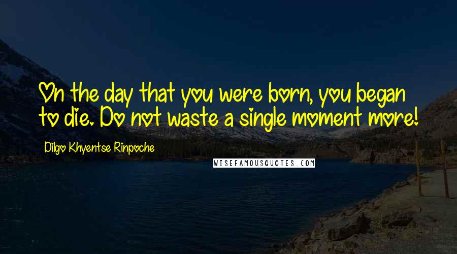 Dilgo Khyentse Rinpoche Quotes: On the day that you were born, you began to die. Do not waste a single moment more!