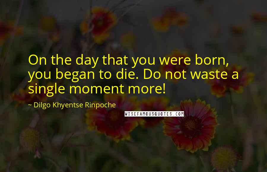 Dilgo Khyentse Rinpoche Quotes: On the day that you were born, you began to die. Do not waste a single moment more!