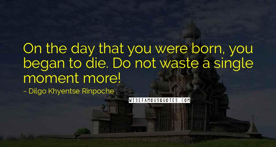 Dilgo Khyentse Rinpoche Quotes: On the day that you were born, you began to die. Do not waste a single moment more!