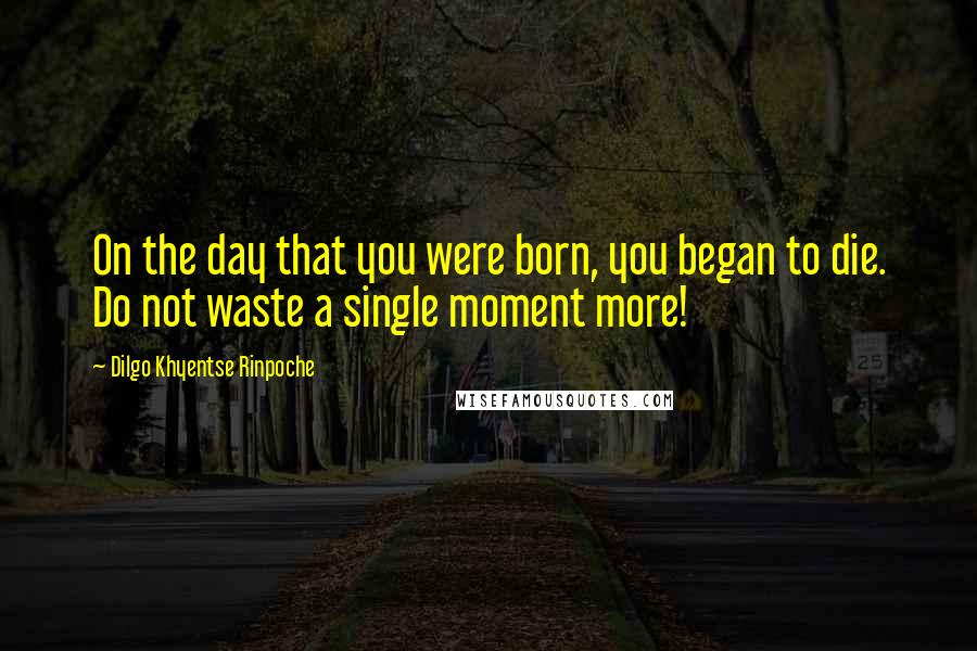 Dilgo Khyentse Rinpoche Quotes: On the day that you were born, you began to die. Do not waste a single moment more!