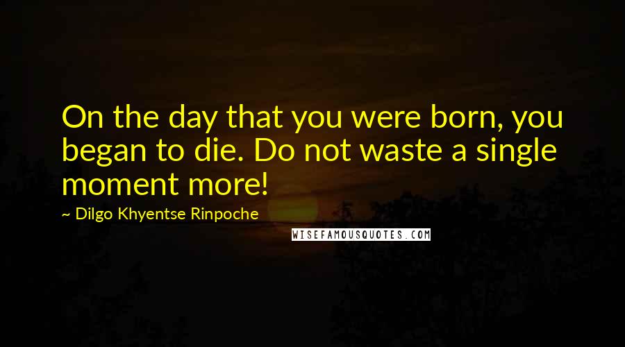 Dilgo Khyentse Rinpoche Quotes: On the day that you were born, you began to die. Do not waste a single moment more!