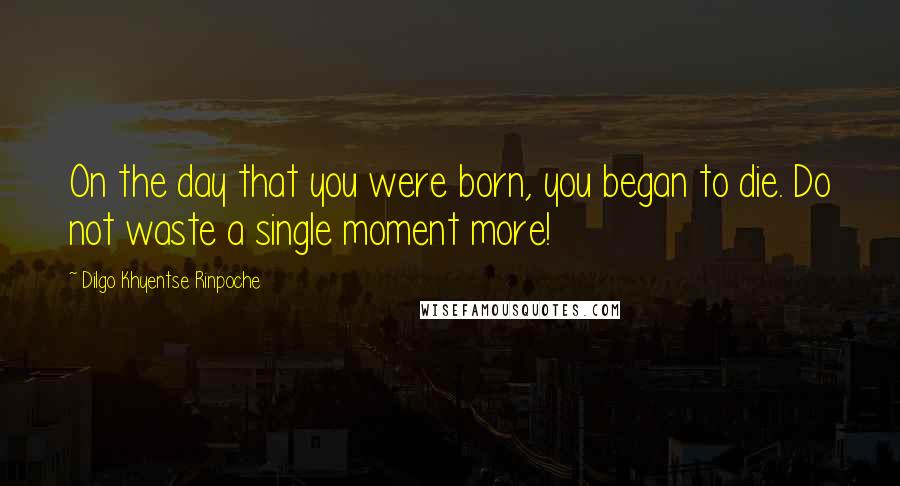 Dilgo Khyentse Rinpoche Quotes: On the day that you were born, you began to die. Do not waste a single moment more!