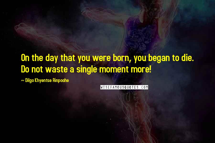 Dilgo Khyentse Rinpoche Quotes: On the day that you were born, you began to die. Do not waste a single moment more!