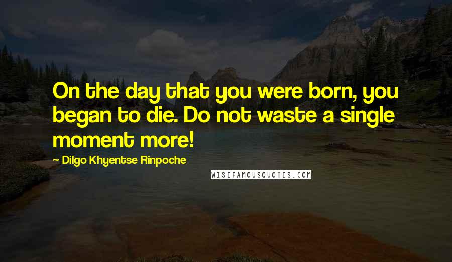 Dilgo Khyentse Rinpoche Quotes: On the day that you were born, you began to die. Do not waste a single moment more!