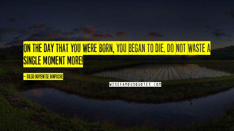 Dilgo Khyentse Rinpoche Quotes: On the day that you were born, you began to die. Do not waste a single moment more!