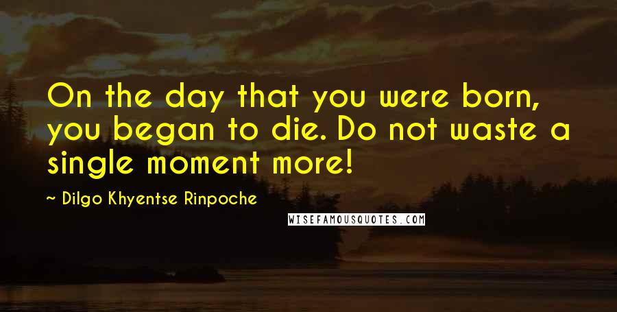 Dilgo Khyentse Rinpoche Quotes: On the day that you were born, you began to die. Do not waste a single moment more!