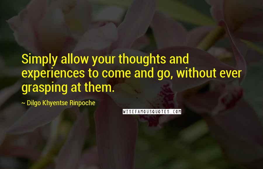 Dilgo Khyentse Rinpoche Quotes: Simply allow your thoughts and experiences to come and go, without ever grasping at them.
