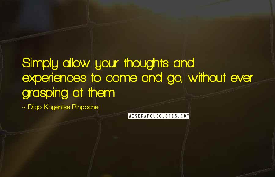 Dilgo Khyentse Rinpoche Quotes: Simply allow your thoughts and experiences to come and go, without ever grasping at them.