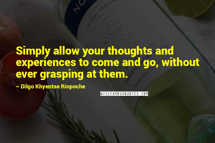 Dilgo Khyentse Rinpoche Quotes: Simply allow your thoughts and experiences to come and go, without ever grasping at them.