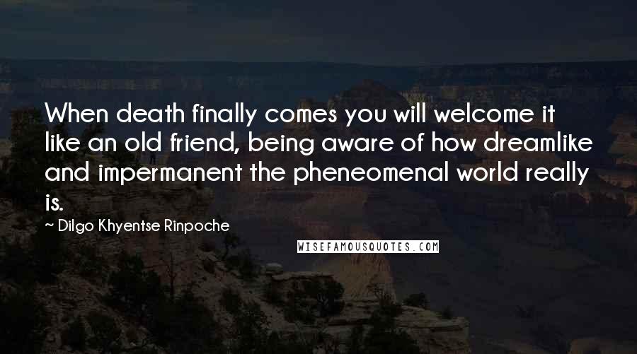 Dilgo Khyentse Rinpoche Quotes: When death finally comes you will welcome it like an old friend, being aware of how dreamlike and impermanent the pheneomenal world really is.