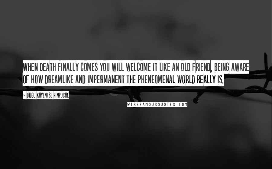 Dilgo Khyentse Rinpoche Quotes: When death finally comes you will welcome it like an old friend, being aware of how dreamlike and impermanent the pheneomenal world really is.