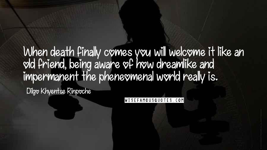 Dilgo Khyentse Rinpoche Quotes: When death finally comes you will welcome it like an old friend, being aware of how dreamlike and impermanent the pheneomenal world really is.
