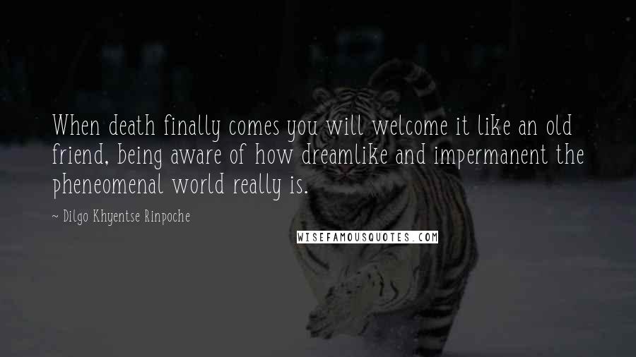 Dilgo Khyentse Rinpoche Quotes: When death finally comes you will welcome it like an old friend, being aware of how dreamlike and impermanent the pheneomenal world really is.