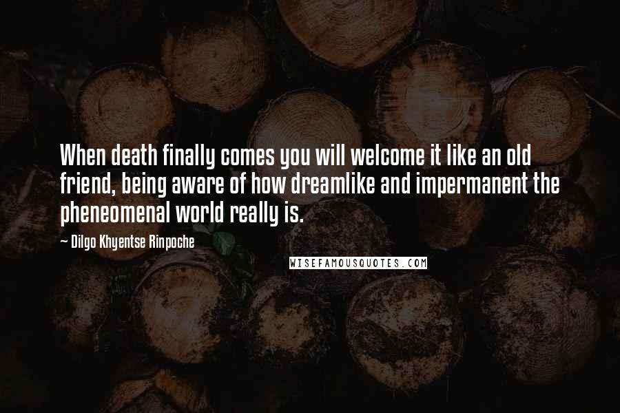 Dilgo Khyentse Rinpoche Quotes: When death finally comes you will welcome it like an old friend, being aware of how dreamlike and impermanent the pheneomenal world really is.