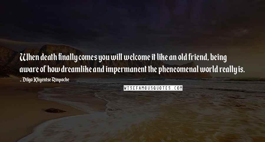 Dilgo Khyentse Rinpoche Quotes: When death finally comes you will welcome it like an old friend, being aware of how dreamlike and impermanent the pheneomenal world really is.