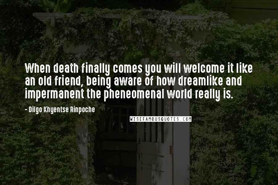Dilgo Khyentse Rinpoche Quotes: When death finally comes you will welcome it like an old friend, being aware of how dreamlike and impermanent the pheneomenal world really is.