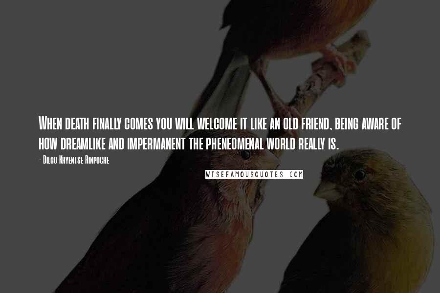 Dilgo Khyentse Rinpoche Quotes: When death finally comes you will welcome it like an old friend, being aware of how dreamlike and impermanent the pheneomenal world really is.