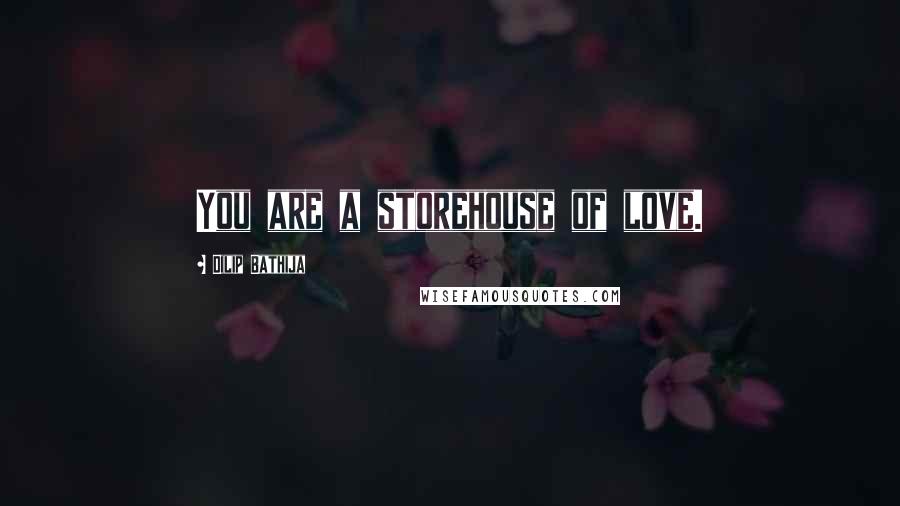 Dilip Bathija Quotes: You are a storehouse of love.