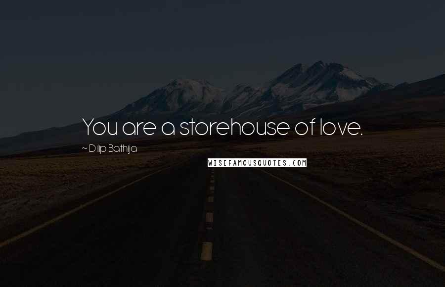 Dilip Bathija Quotes: You are a storehouse of love.