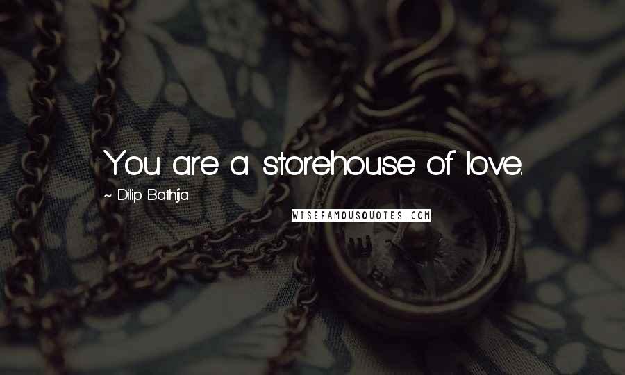 Dilip Bathija Quotes: You are a storehouse of love.