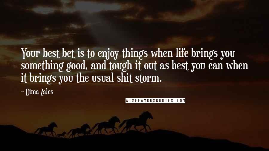 Dima Zales Quotes: Your best bet is to enjoy things when life brings you something good, and tough it out as best you can when it brings you the usual shit storm.
