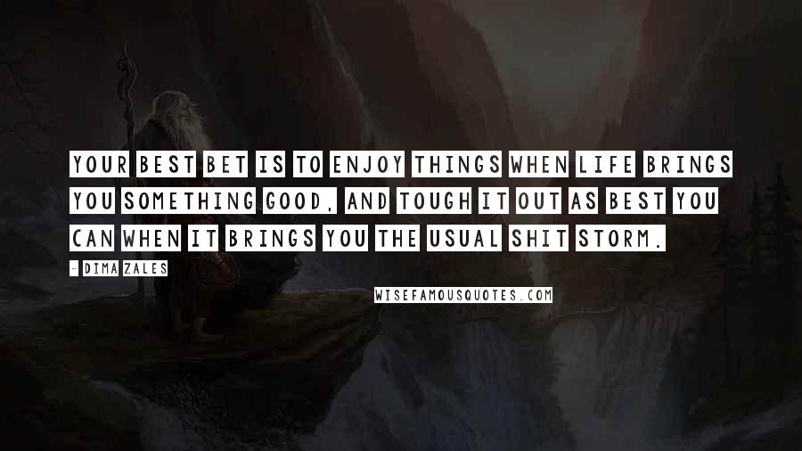 Dima Zales Quotes: Your best bet is to enjoy things when life brings you something good, and tough it out as best you can when it brings you the usual shit storm.