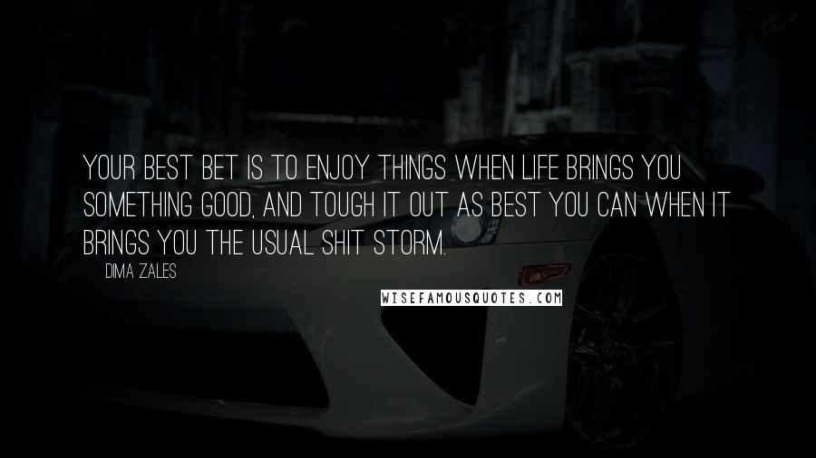 Dima Zales Quotes: Your best bet is to enjoy things when life brings you something good, and tough it out as best you can when it brings you the usual shit storm.