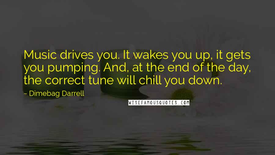 Dimebag Darrell Quotes: Music drives you. It wakes you up, it gets you pumping. And, at the end of the day, the correct tune will chill you down.