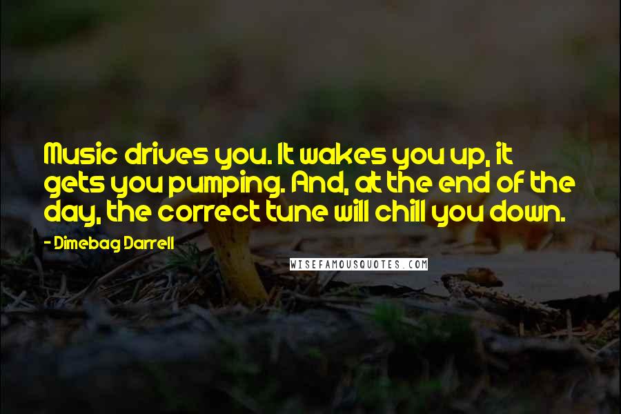 Dimebag Darrell Quotes: Music drives you. It wakes you up, it gets you pumping. And, at the end of the day, the correct tune will chill you down.