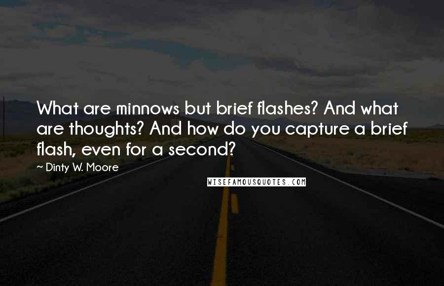 Dinty W. Moore Quotes: What are minnows but brief flashes? And what are thoughts? And how do you capture a brief flash, even for a second?