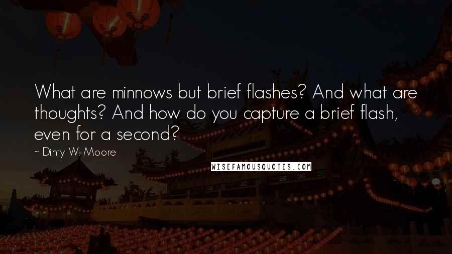 Dinty W. Moore Quotes: What are minnows but brief flashes? And what are thoughts? And how do you capture a brief flash, even for a second?